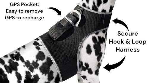 Tracking Dog Made Easy with Pet Tracker Collar GPS Tracker Location Finder Size:S