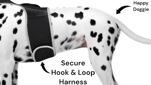Rechargeable Mini GSM GPS Realtime Dog Tracking Collar Mounted Tracker Size:M