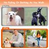 Adjustable Dog Choke Collar Training Chain Dog Necklace with Buckle for Small Medium Large Dogs